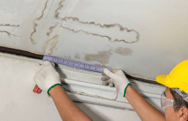 Reliable Mold Remediation contractor in Streeter, ND by Water Damage Irwin